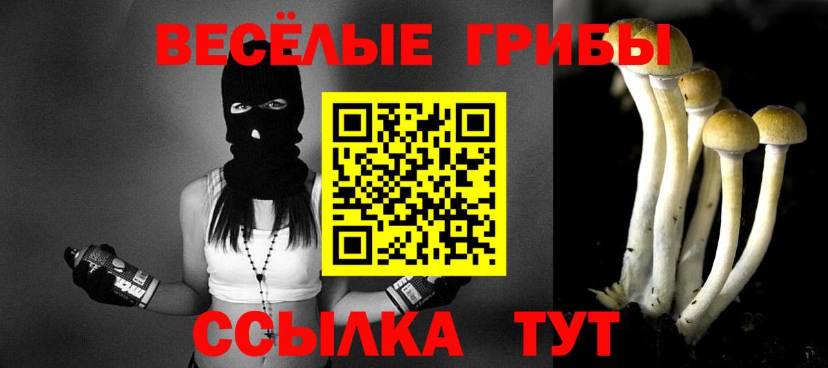 Галлюциногенные грибы прущие грибы  Вход с VPN  Электросталь 